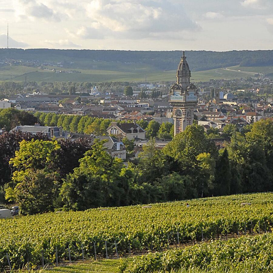 Coopérative du Syndicat Général des Vignerons